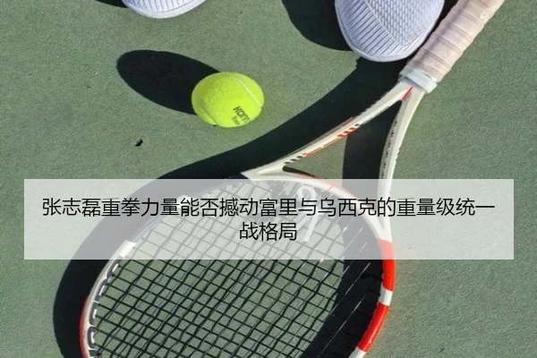 张志磊重拳力量能否撼动富里与乌西克的重量级统一战格局
